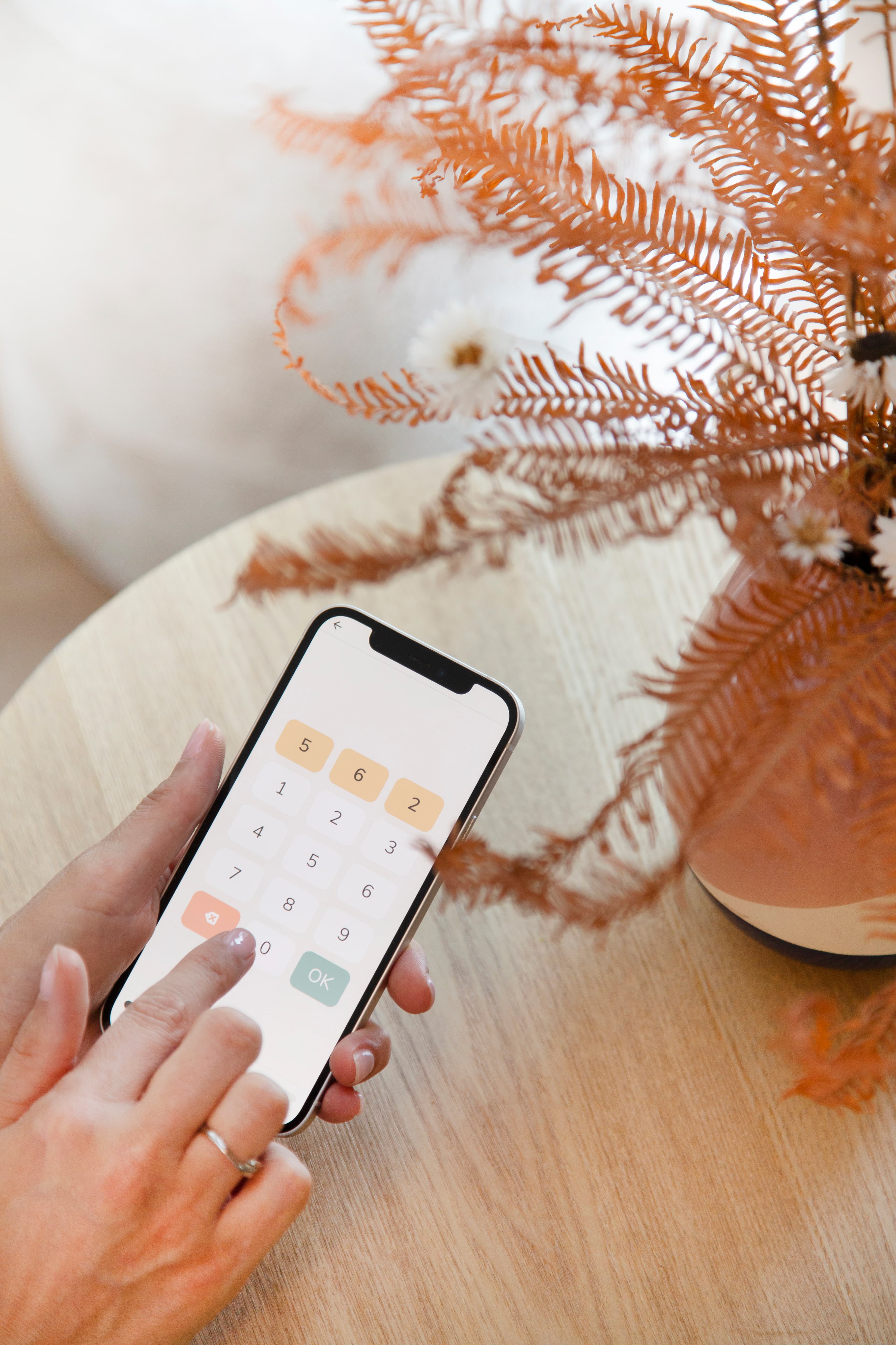 Foto Digit Triplet Test in ALICE-app